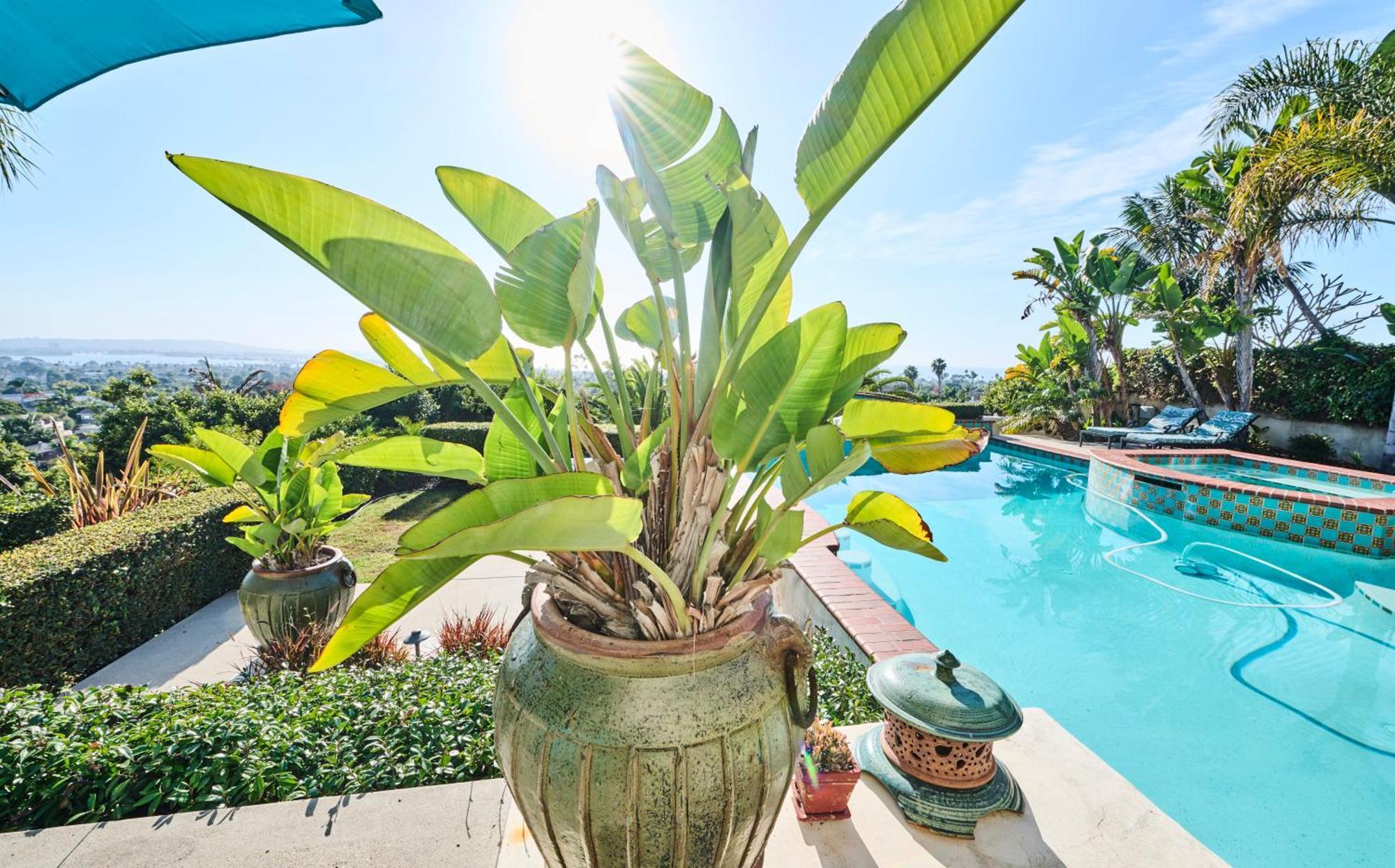 360 Degree Ocean & City Views With Pool, Spa, Close To The Beach! Pets Ok San Diego Esterno foto